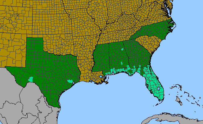 The range of Ludwigia peruviana
